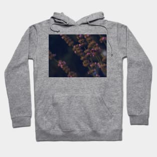 lavender flower field photography Hoodie